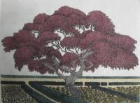 Red Maple Garden   (OUT OF PRINT)