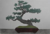 Juniper Bonsai Tree  (OUT OF PRINT)