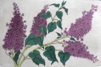 Lilacs  (OUT OF PRINT)
