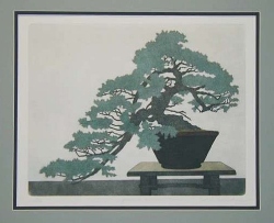Juniper Bonsai (horizontal)