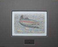 Rainbow Trout (with fly) Metal frame