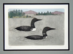 Loons (small)