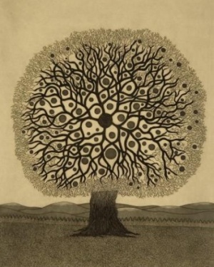 Treedom