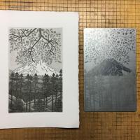 Venerable View and the Zinc plate